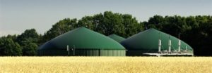 BioTrans biogasanlæg omsætter biomassen til biogas